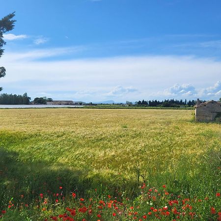 Villa L'Eden De Camargue- Spa Et Nature Candillargues ภายนอก รูปภาพ